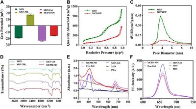 Biocompatible Mesoporous Silica–Polydopamine Nanocomplexes as MR/Fluorescence Imaging Agent for Light-Activated Photothermal–Photodynamic Cancer Therapy In Vivo